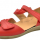 Doxie (red)